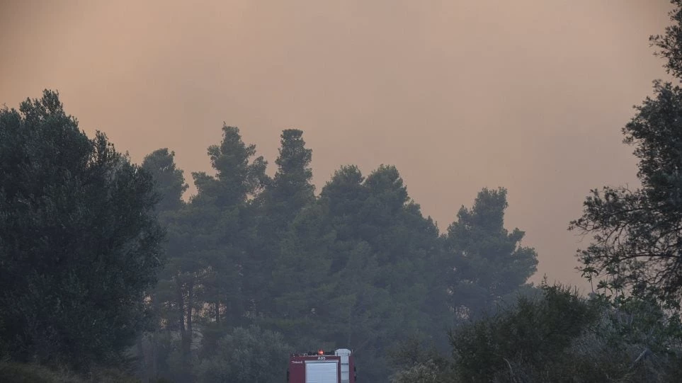 Aντιπεριφερειάρχης Στερεάς Ελλάδας: Είναι η πέμπη φορά φέτος που πιάνει φωτιά στο ίδιο σημείο στην Εύβοια